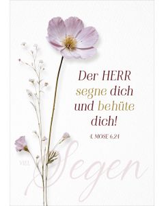 Faltkarte Der Herr segne dich