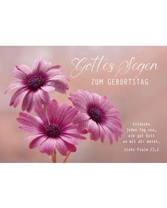 Faltkarte Gottes Segen