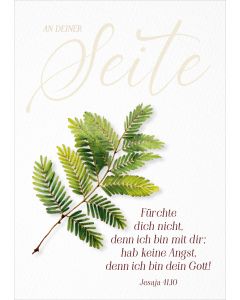 Faltkarte Fürchte dich nicht, denn ich bin mit dir. Jes.41,10