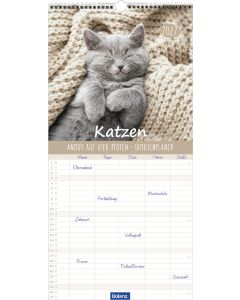 Katzen 2027 - Familienplaner
