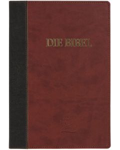 Die Bibel - Schlachter 2000 Großdruck Duotone