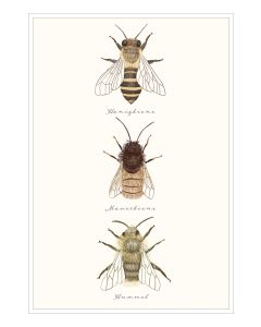 Bienen