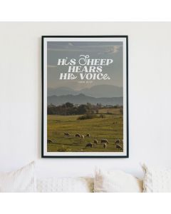 Poster A3 His sheep hears his voice