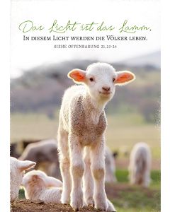 Postkarte 'Das Licht ist das Lamm. In diesem Licht werden