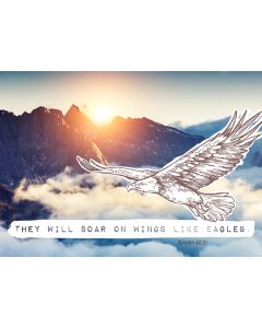Postkarte 'Eagle' 1EX
