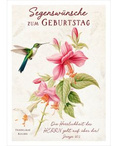 Postkarte 'Segenswünsche zum Geburtstag' 12x